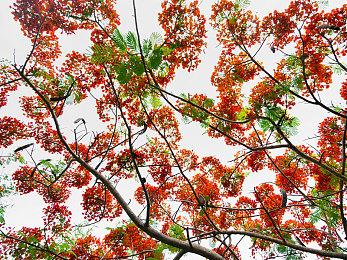 《泰坦陨落》IP正式复活？2代突然添增神秘新模式