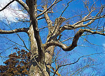 V社试水？《DOTA2》最新更新加入格斗小游戏