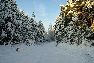 《蜡笔小新：煤炭镇的小白》现已登陆Steam 国区135元